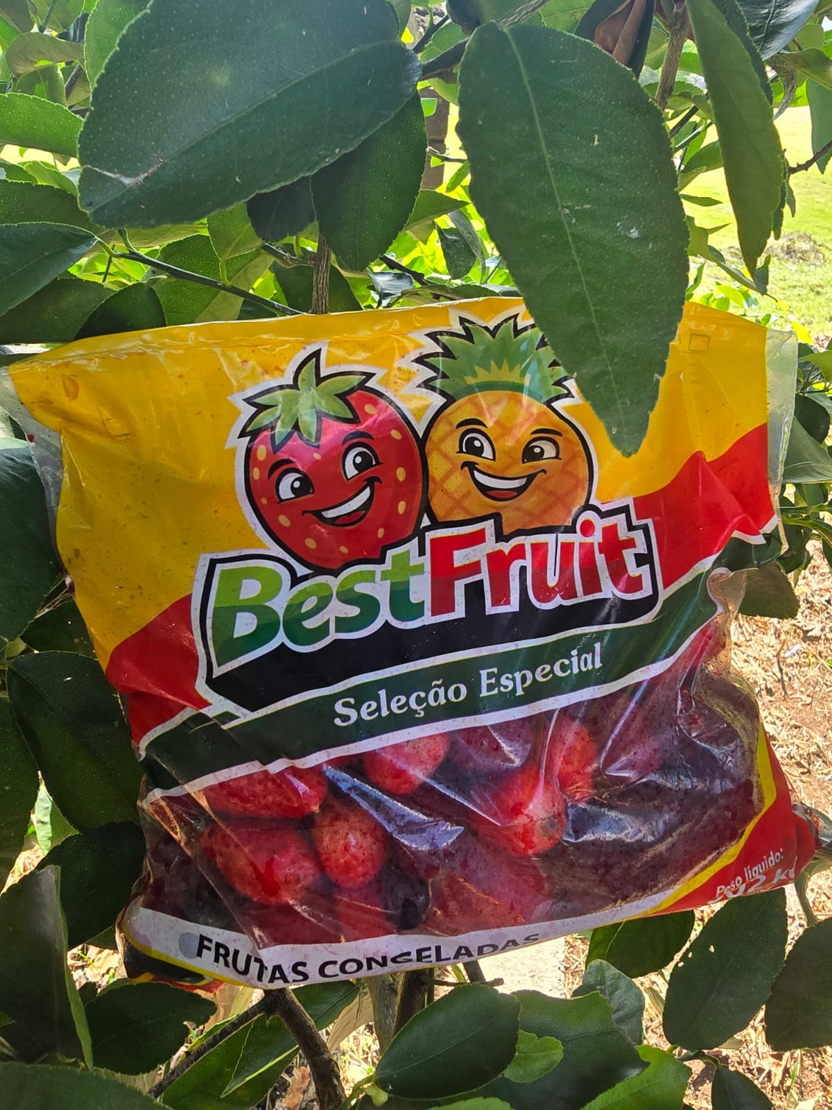 Frutas Vermelhas Congeladas